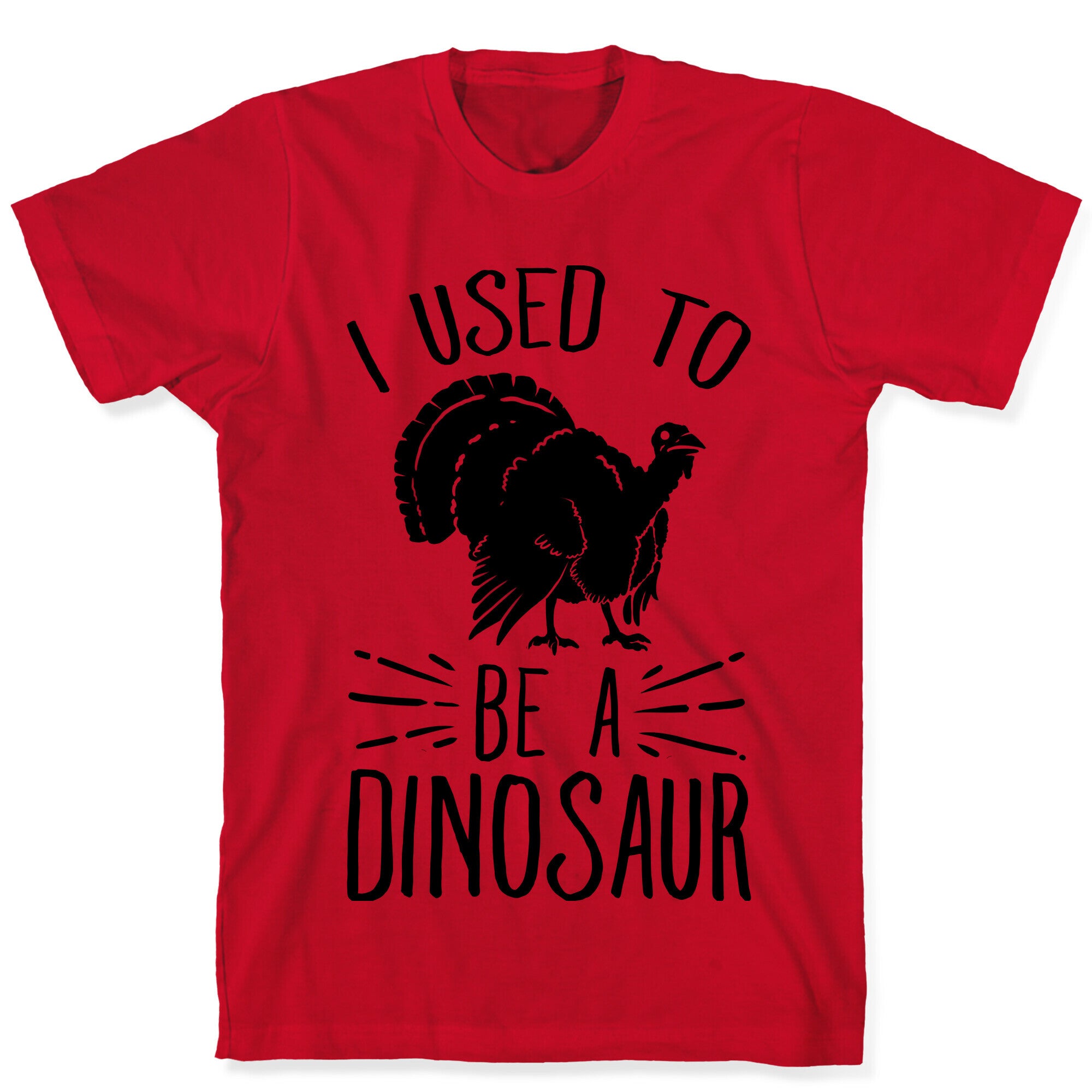 I Used to Be a Dinosaur T-Shirt